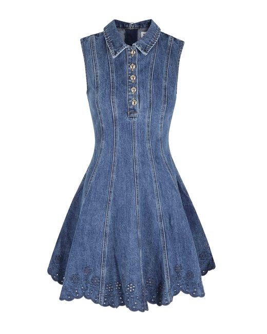 Self-Portrait Blue Mini Denim Dress Embroidered