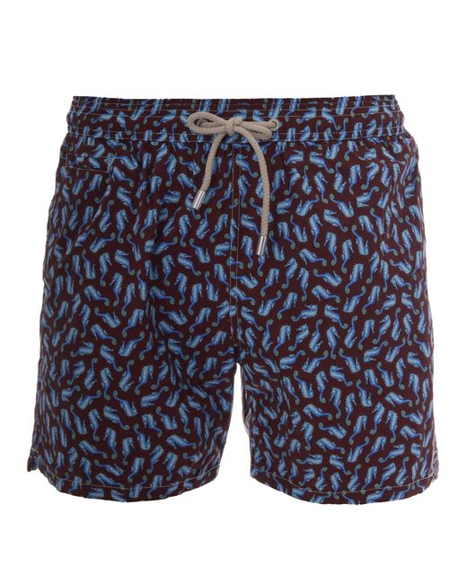 Mc2 Saint Barth Blue Costume Comfort Seahorse Dance for men