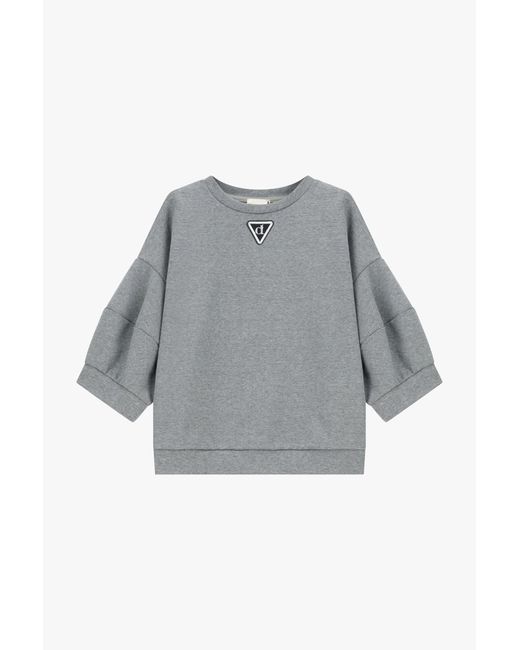 Felpa Con Maniche 3/4 E Logo di Dixie in Gray