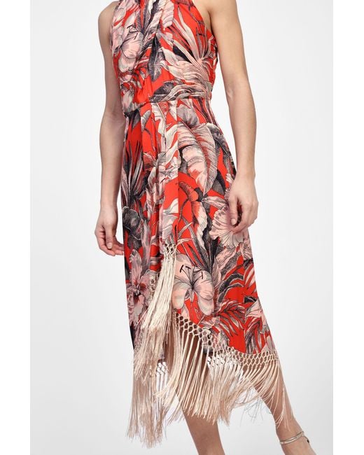 Robe Mi-Longue À Motif Floral Et Franges Dixie en coloris White