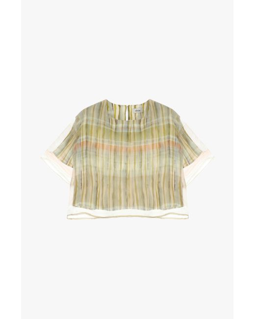 Top Con Maniche Corte E Tulle di Dixie in Natural