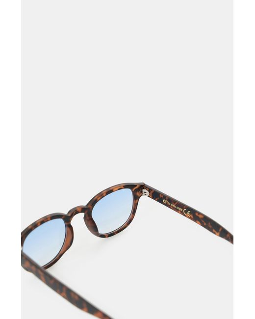 Os Sunglasses di Dixie in Blue