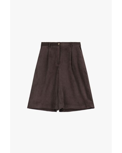 Bermuda di Dixie in Brown