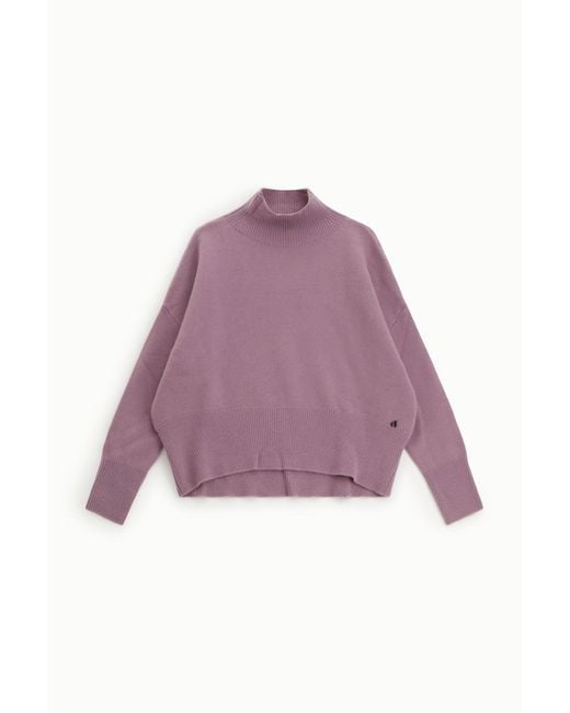 Maglione Dolcevita Con Maniche Lunghe Ampie di Dixie in Purple