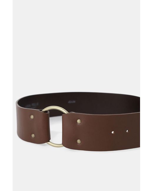 Cintura Con Fibbia Quadrata E Anello Laterale di Dixie in Brown