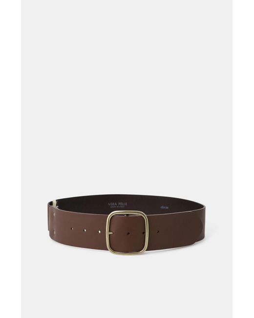 Cintura Con Fibbia Quadrata E Anello Laterale di Dixie in Brown
