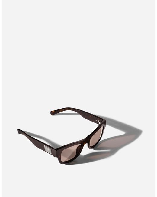 メンズ Dolce & Gabbana Dna Essentials Sunglasses Multicolor