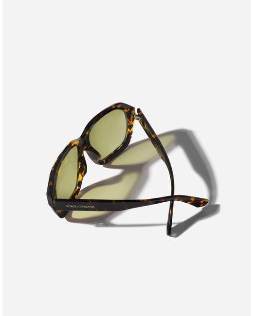 Dolce & Gabbana Multicolor M's Fashion Showsunglasses for men