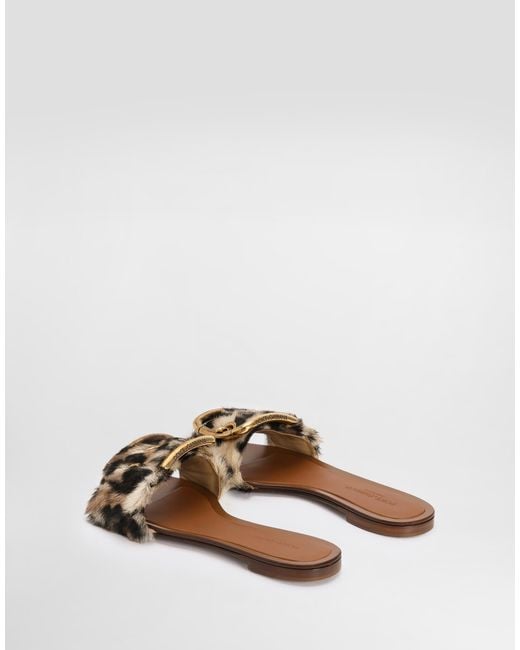 Dolce & Gabbana Multicolor Leo- Flat Slippers