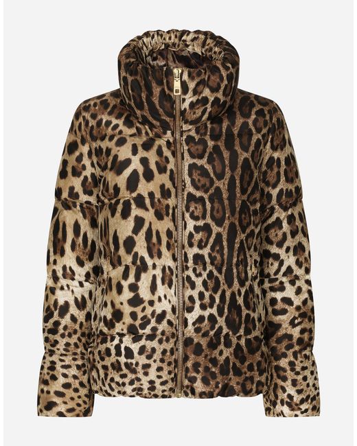 Dolce & Gabbana Brown Padded Leopard-Print Nylon Jacket
