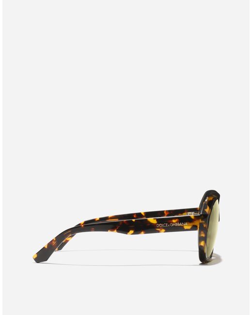 Dolce & Gabbana Multicolor M's Fashion Showsunglasses for men
