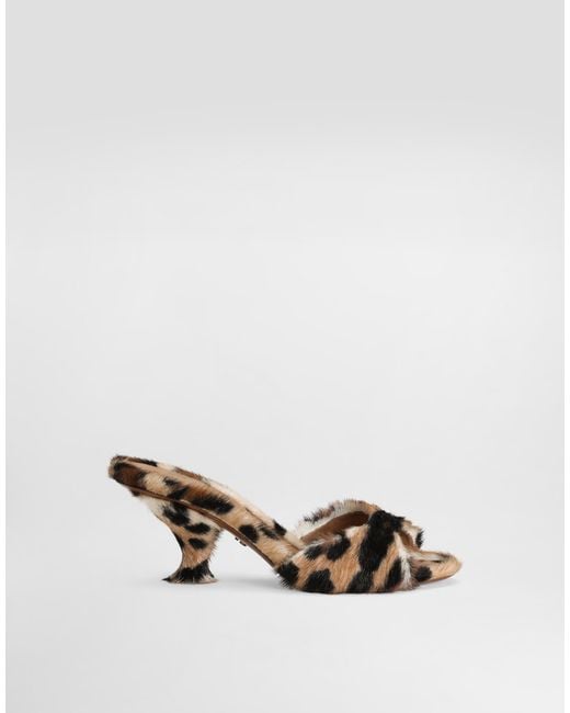 Dolce & Gabbana Natural Leopard- Keira Mules