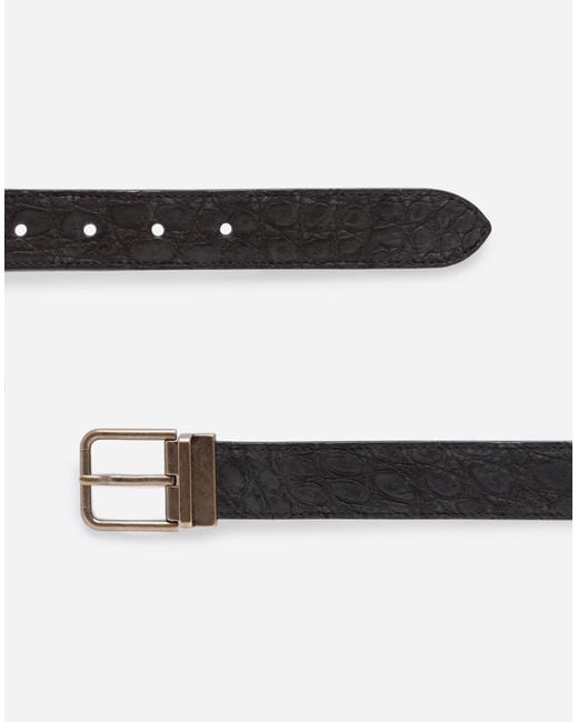 Crocodile Skin Belt di Dolce & Gabbana in Black da Uomo
