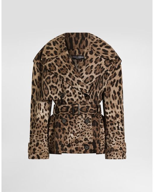 Dolce & Gabbana Multicolor Leo- Cotton Drill Jacket