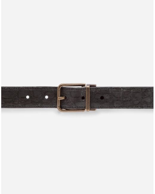 Crocodile Skin Belt di Dolce & Gabbana in Black da Uomo