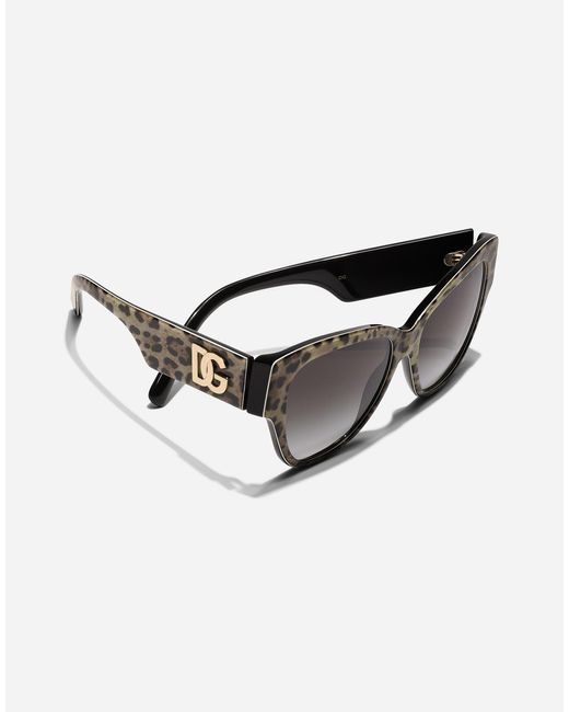 Dolce & Gabbana 「Dgロゴ」 サングラス Gray