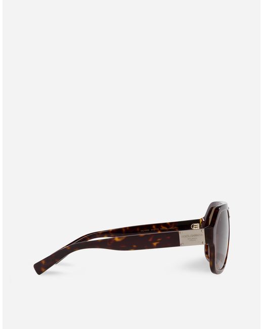 メンズ Dolce & Gabbana Dg Plaque Sunglasses Brown