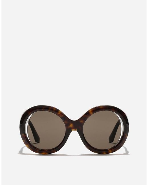 Dolce & Gabbana Brown Sicilian Street Sunglasses
