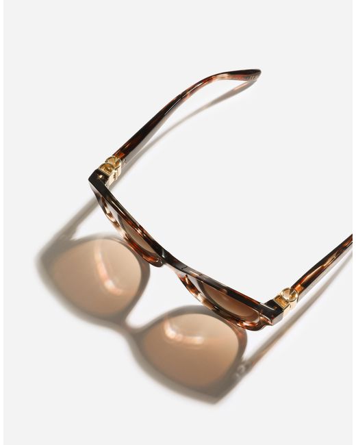 Dolce & Gabbana Brown Dg Hinge Sunglasses