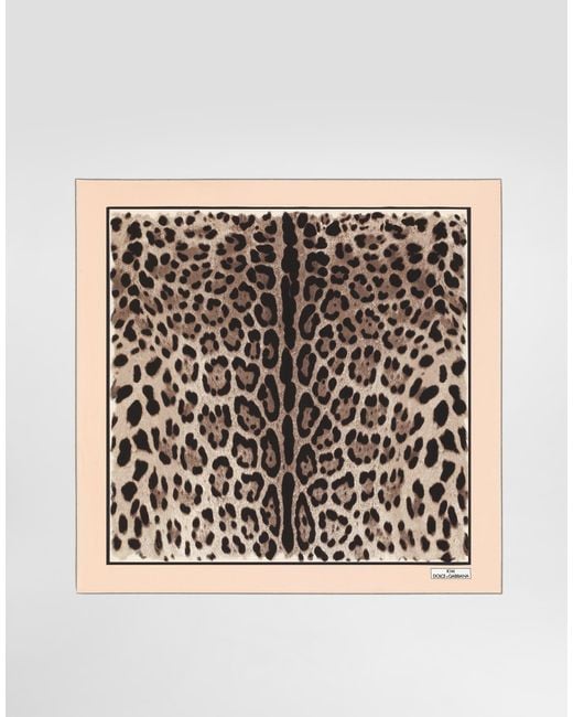Dolce & Gabbana Natural Kim Dolce&Gabbana Leopard-Print Twill Scarf