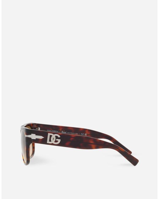 Dolce & Gabbana Multicolor X Persol Sunglasses