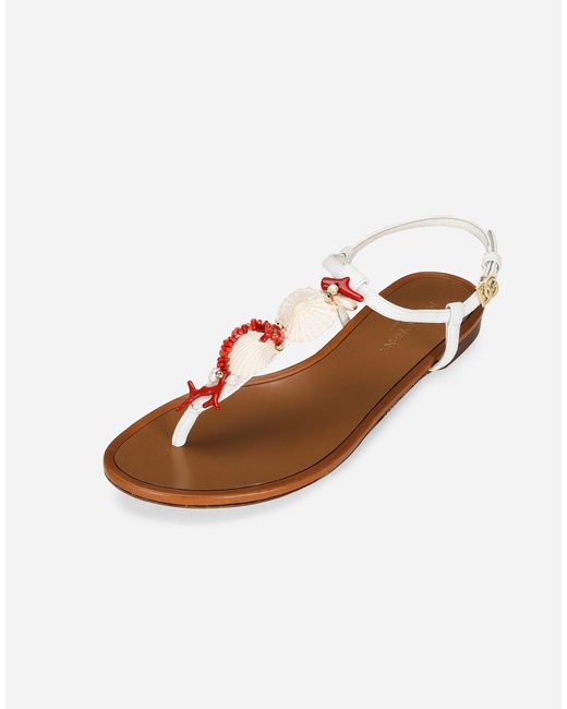 Dolce & Gabbana White Embellished Thong Sandals