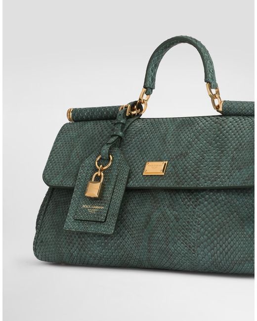 Dolce & Gabbana Green Borsa A Mano