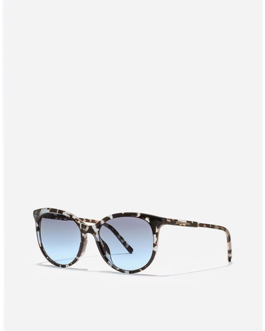 Dolce & Gabbana Blue Everyday Sunglasses