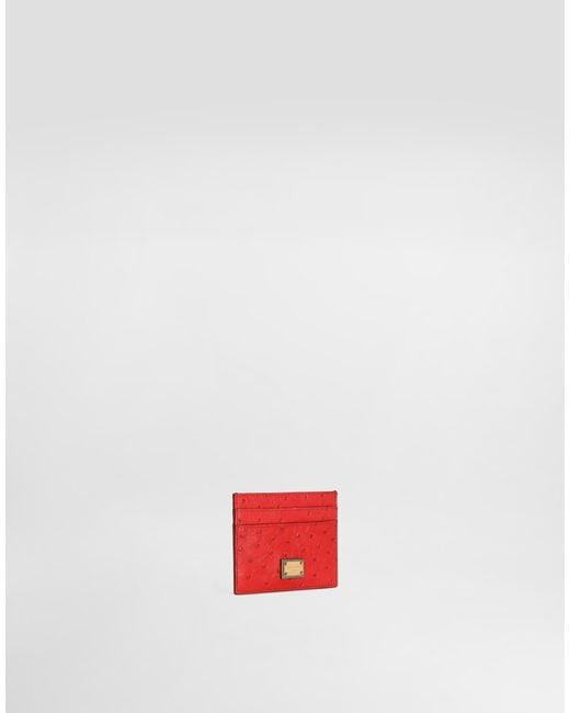 Dolce & Gabbana White Polished Ostrich Leather Card Holder