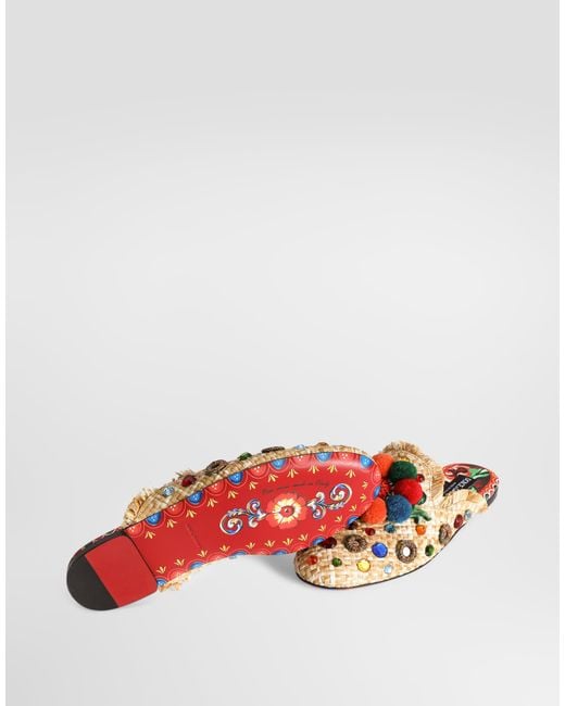 Dolce & Gabbana Multicolor Sabot/Mule