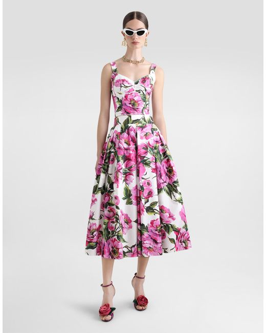 Jupe Patineuse En Coton À Pivoines Dolce & Gabbana en coloris Pink