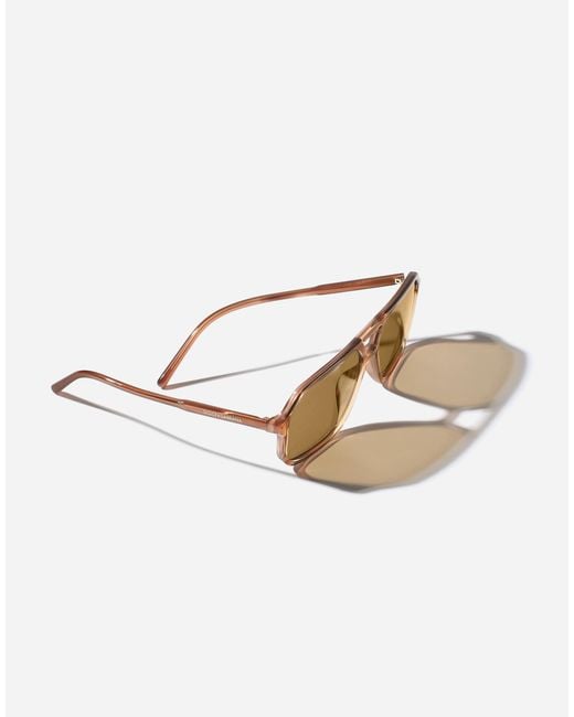 Dolce & Gabbana Natural Everyday Sunglasses