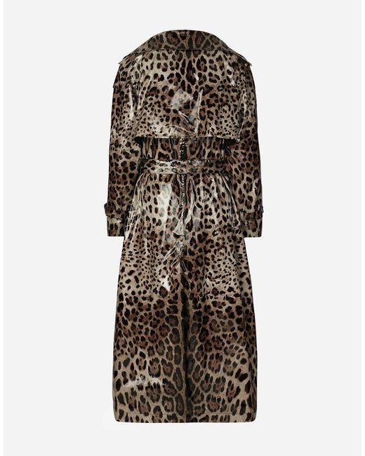 Dolce & Gabbana Multicolor Cappotto