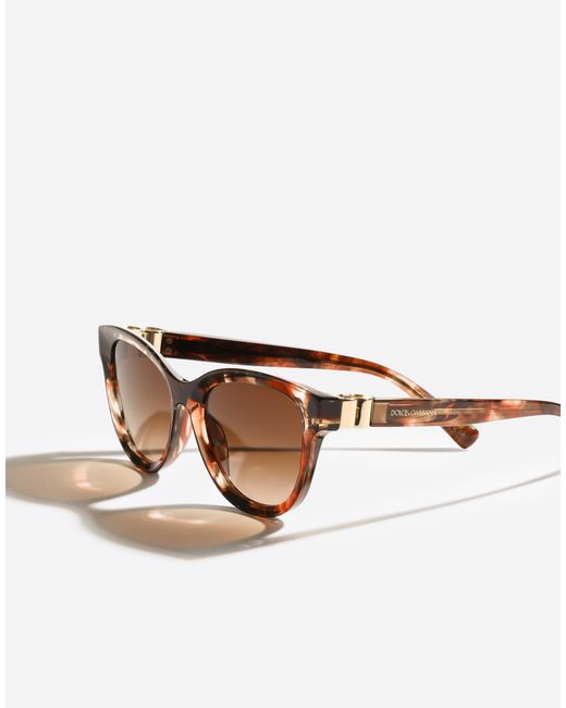 Dolce & Gabbana Brown Dg Hinge Sunglasses