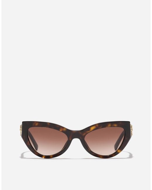 Dolce & Gabbana Multicolor Devotion Sunglasses