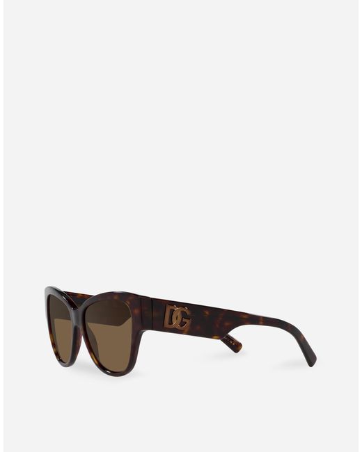 Dolce & Gabbana 「Dgロゴ」 サングラス Brown