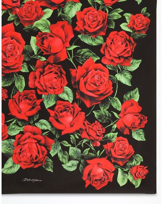 Dolce & Gabbana Red 90X90 Rose-Print Silk Twill Scarf