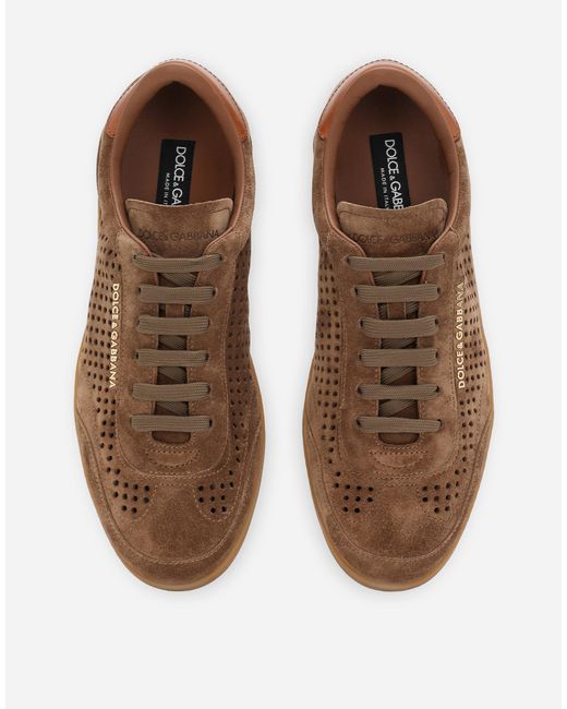 Dolce & Gabbana Brown Suede Saint Tropez Sneakers for men