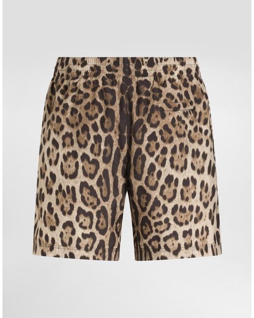Dolce & Gabbana Brown Mid-Length Swim Trunks With Leopard for men