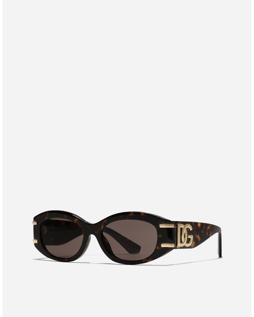 Dolce & Gabbana Brown Dg Griffe Sunglasses