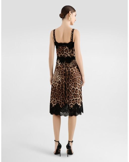 Dolce & Gabbana Black Printed Midi Dress