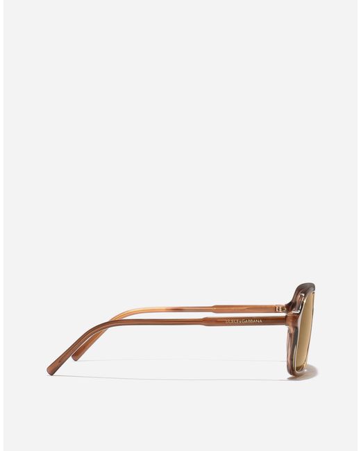 Dolce & Gabbana Natural Everyday Sunglasses