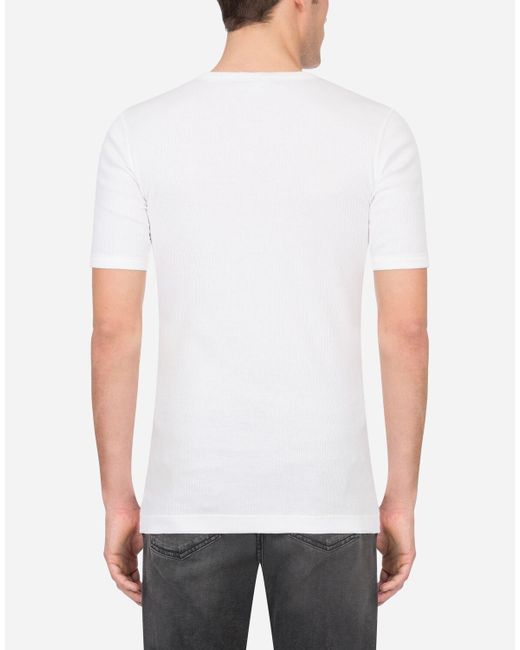 d&g tee shirts