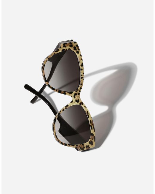 Dolce & Gabbana 「Dgロゴ」 サングラス Gray