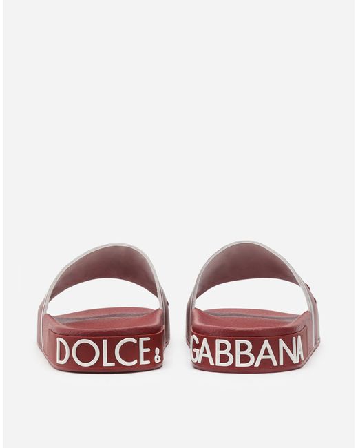 dolce and gabbana sliders mens