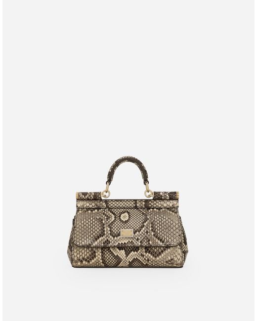 Dolce & Gabbana Natural Small Sicily Handbag