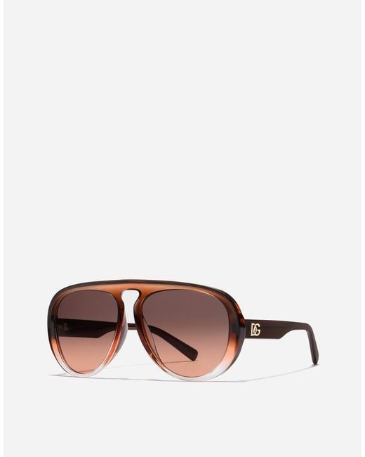 Dolce & Gabbana Brown Maiolica Arancione Sunglasses