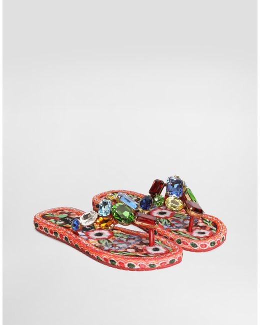Dolce & Gabbana Multicolor Sandalo
