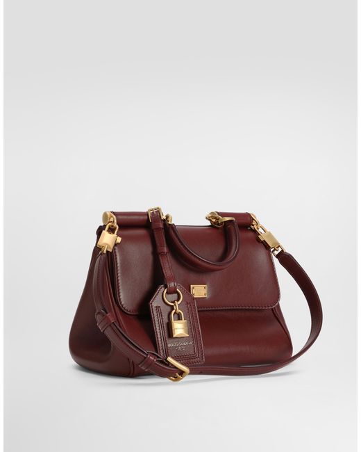 Dolce & Gabbana Brown Borsa A Mano