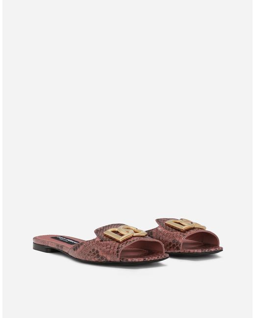 Dolce & Gabbana Brown Pantolette Aus Pythonleder
